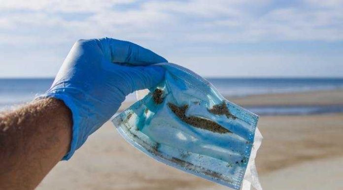 Penha terá mutirão de limpeza na Praia Alegre neste domingo (4)
