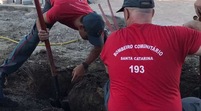 Cão e gato são resgatados pelos bombeiros da tubulação pluvial em Porto Belo