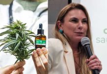 Deputada Paulinha (Podemos) defende distribuição gratuita de remédio à base de maconha