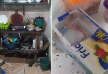 Dono de lanchonete é preso por vender comida estragada em SC