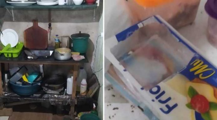 Dono de lanchonete é preso por vender comida estragada em SC