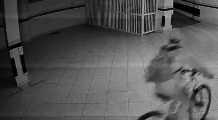 VÍDEO: Grande furto de bicicletas em edifício de Itapema deixa moradores indignados