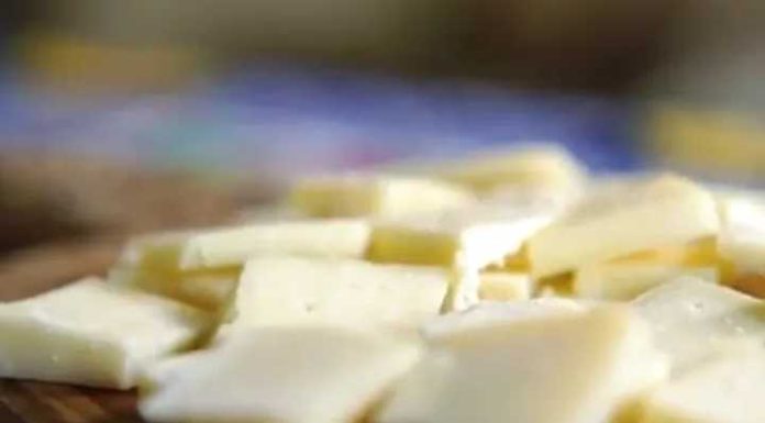 Bactéria que pode causar diarreia grave é encontrada em queijo feito em SC