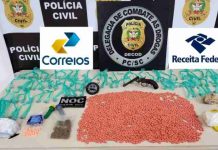 ‘Supermaconha’: apreensão de drogas avaliadas em R$ 300 mil em SC pode incluir k9