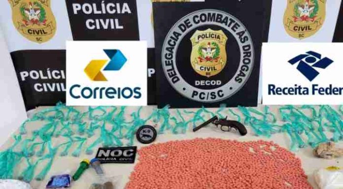‘Supermaconha’: apreensão de drogas avaliadas em R$ 300 mil em SC pode incluir k9