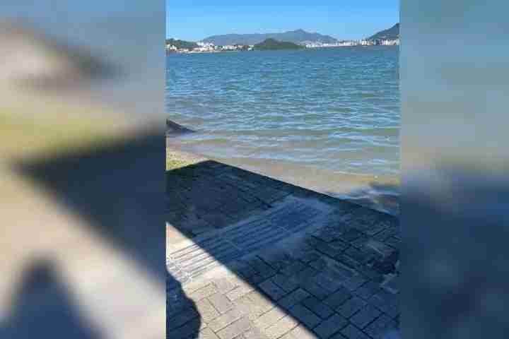 Novo Projeto - 2023-06-20T155633.157