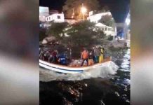 Barco tripulado por pai e filhos afunda com 3 toneladas de tainha em Florianópolis