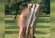 Homem é preso após “fazer sexo” com árvore em parque