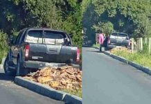 Moradora flagra homem jogando lixo em via pública no Bairro Santa Lídia em Penha