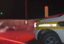 Motociclista colide contra boi em rodovia e os dois morrem em Itajaí