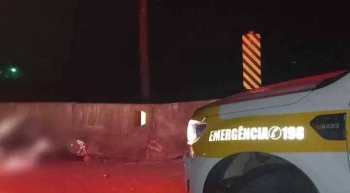 Motociclista colide contra boi em rodovia e os dois morrem em Itajaí