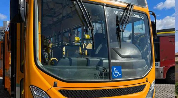 Balneário Piçarras vai oferecer linha de ônibus especial para o Piçarraiá 2023