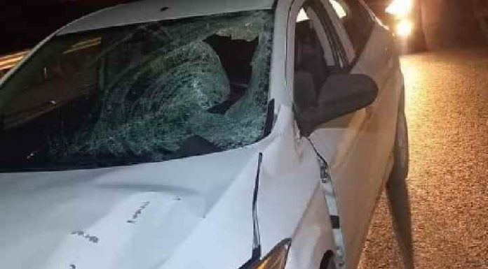 Veículo com placas de Penha mata pedestre atropelado em Itajaí