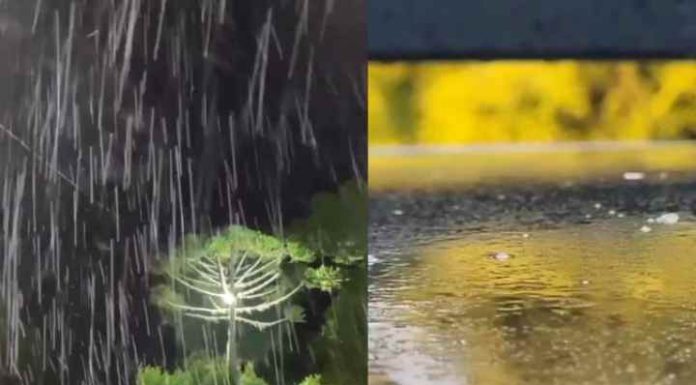 Santa Catarina tem primeiro registro de neve no inverno de 2023