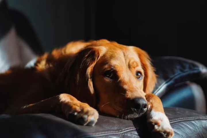 POLICLINICAAA atual (8)