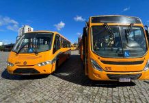 Prefeitura de Balneário Piçarras decide manter gratuidade no transporte interbairros