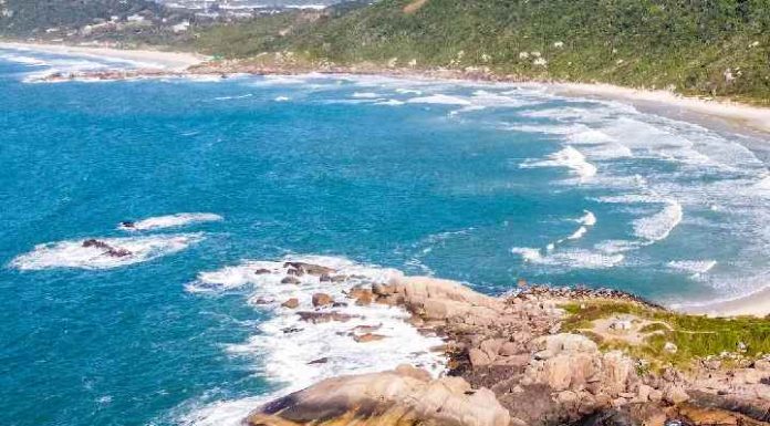 Veja quais praias estão próprias para banho para aproveitar veranico de 30ºC em SC