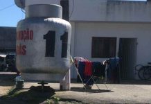 Cãozinho é vítima de maus-tratos e fica amarrado em poste pegando sol e chuva