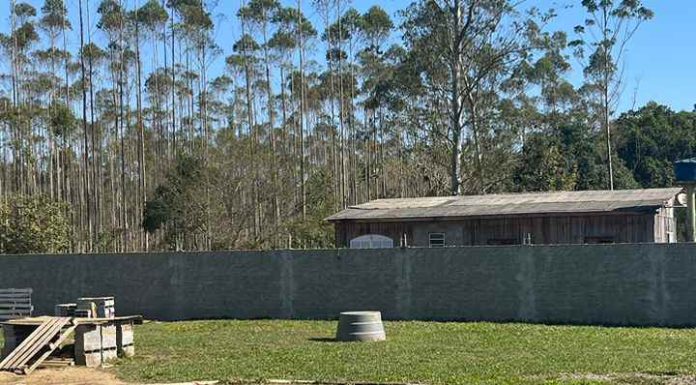 Grupo de Operações e Resgate (GOR) atende demanda animal de Balneário Piçarras