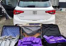 Polícia sente cheiro de maconha e mulher que falava ao celular no carro é presa com 108 kg da droga em SC