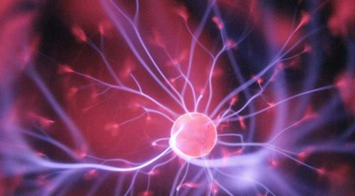 SC tem 85 pessoas superdotadas e está em ‘disparada’ com superinteligência