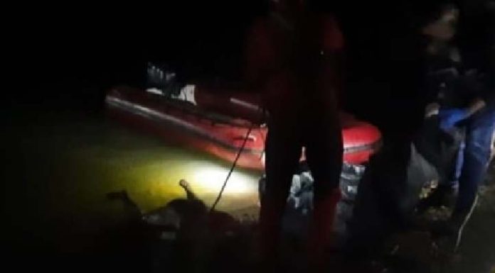 Corpo sem cabeça e em decomposição é encontrado no Alto Vale do Itajaí