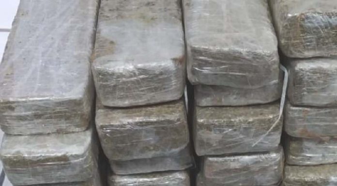 PRF prende casal com 16 quilos de maconha em Barra Velha