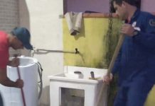 Cãozinho filhote é resgatado de tubulação em residência de Penha