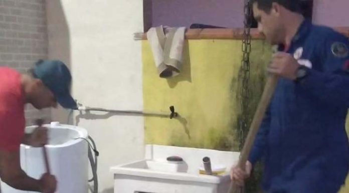 Cãozinho filhote é resgatado de tubulação em residência de Penha