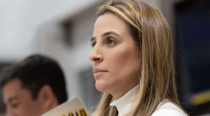 Lei Maria da Penha aguarda para ser votada há dois anos na Câmara de BC