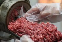 Cocô de rato, carne de cavalo e larvas: 5 marcas famosas que já foram autuadas pela Anvisa