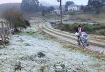 Com temperatura abaixo de -4ºC, Serra de SC tem geada e pelo 3º dia seguido
