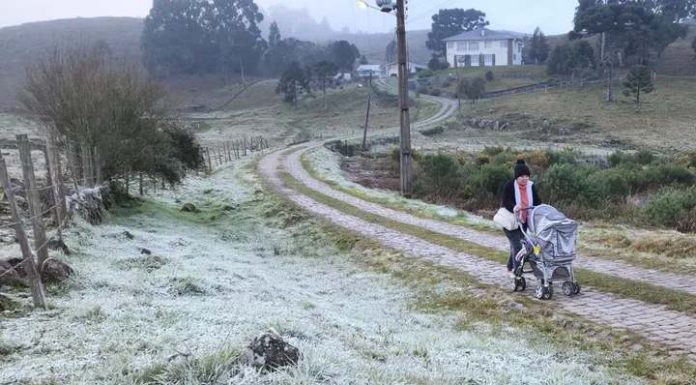 Com temperatura abaixo de -4ºC, Serra de SC tem geada e pelo 3º dia seguido