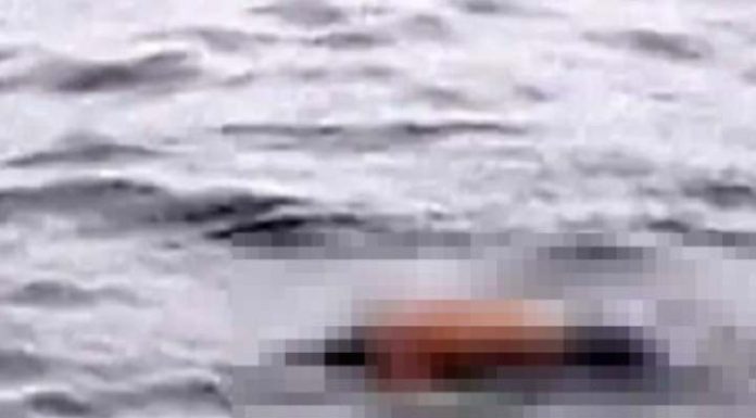 Corpo de homem de 40 anos é encontrado boiando na Praia de Barra Velha