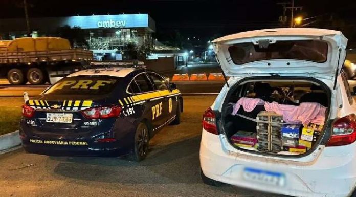 PRF recolhe 19 pássaros silvestres na BR-470 caçados ilegalmente