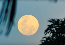 Superlua poderá ser vista na noite desta quarta-feira. Entenda o fenômeno