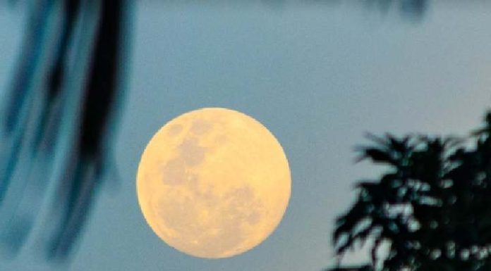 Superlua poderá ser vista na noite desta quarta-feira. Entenda o fenômeno