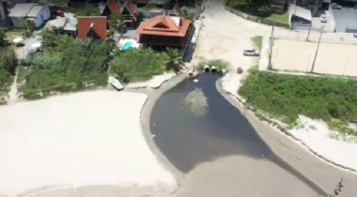 Esgoto no mar causa prejuízo à biodiversidade marinha, faz mal à saúde dos banhistas e prejudica o turismo