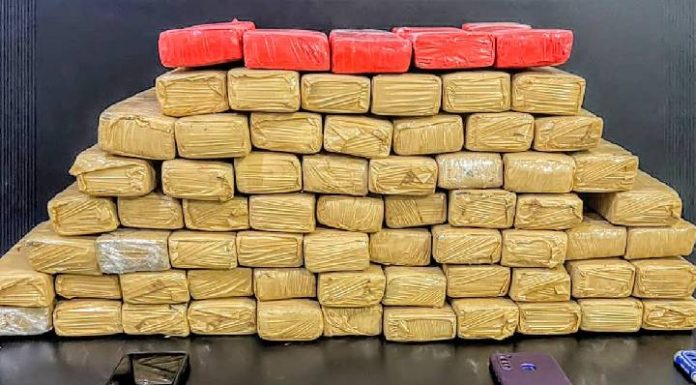 Polícia Militar apreende 51 kg de maconha escondidos em pousada de Penha