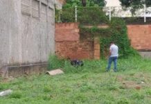 Corpo de homem com dedos decepados é encontrado em terreno baldio em Barra Velha