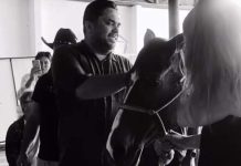Cavalo se despede de criança que morreu após queda em Camboriú