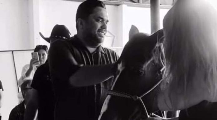 Cavalo se despede de criança que morreu após queda em Camboriú