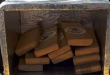 Motoboy de Piçarras é preso fazendo delivery de drogas