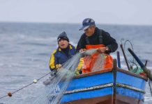Audiência pública na tarde desta segunda-feira (4) em Penha discute temas da Pesca Artesanal