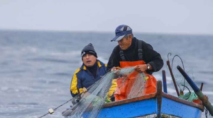 Audiência pública na tarde desta segunda-feira (4) em Penha discute temas da Pesca Artesanal