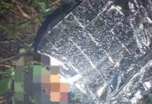 Mulher despenca de altura de 7 metros em “mirante” e sofre cortes na cabeça em SC
