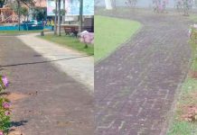 Vândalos já andaram metendo a mão nas florzinhas da Prefeitura de Barra Velha