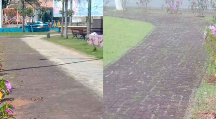 Vândalos já andaram metendo a mão nas florzinhas da Prefeitura de Barra Velha