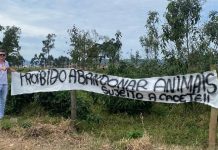‘Sujeito a cacete’: faixa ameaça quem abandonar animais em Tijucas