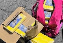 Dupla é presa com R$ 7 milhões em cocaína na BR-282, em Lages